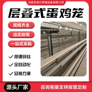 小层叠蛋鸡笼自动化笼养设备立式阶梯式育雏笼三层四层养鸡场专用