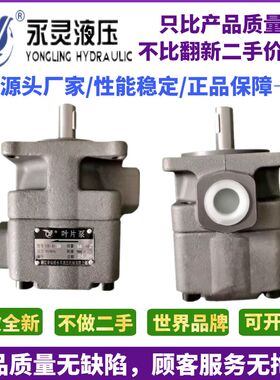 YLC永灵油泵YBD-2.5 6 10 16 25 32 40 50 63 80中压叶片泵直销
