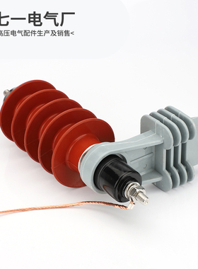 HY5WS-17/50L变压器用10-12KV氧化锌避雷器带脱离器架