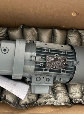 荷兰原装 BEGE 齿轮箱 减速机 G22-90S4  Nr.990590