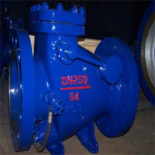 HH44X-25P DN700法兰式逆止阀 法兰连接式止回阀 缓闭式