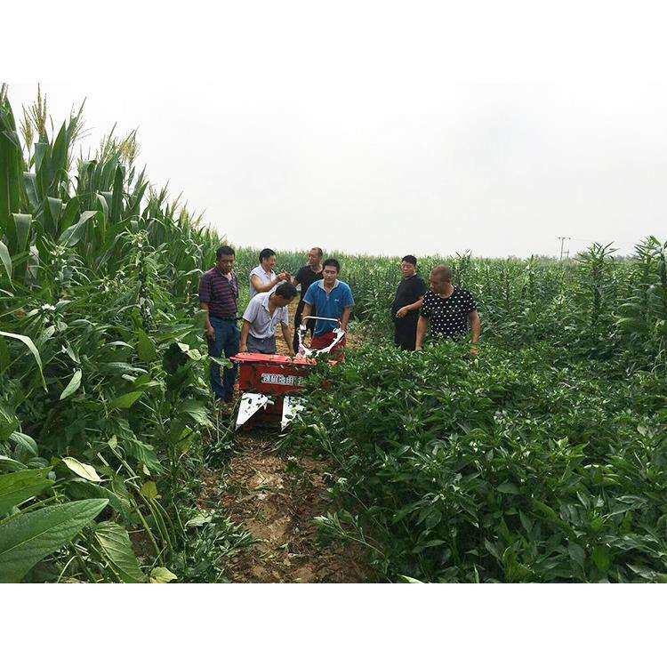辣椒割晒机大豆谷子苜蓿草小麦割倒机单株向上作物用割晒机