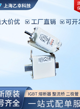 巴斯曼熔断器  170M2066 170M2067 170M2075 170M2076 170M2077