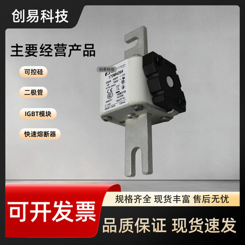 170M4264 170M4265 170M4266 170M4267 170M4268 170M4269 熔断器