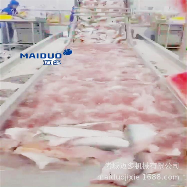 全自动刀鱼段挂冰机带鱼段挂冰设备鱼类挂冰机厂家