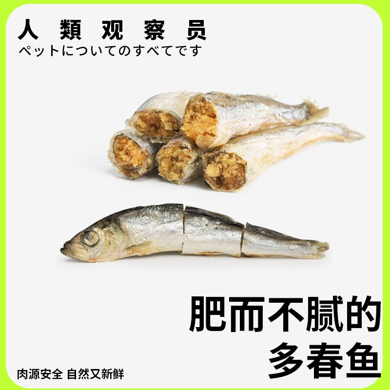 人类观察员小鱼干猫零食冻干多春鱼满籽猫咪营养猫粮狗狗宠物零食