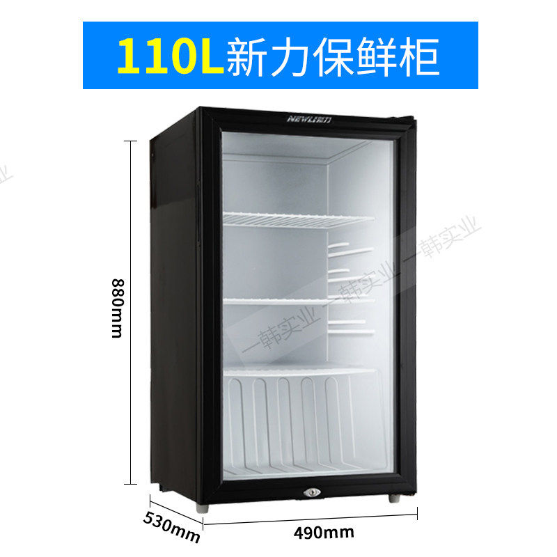 商用小型冷藏展示柜 带锁立式食品留样冷柜 广东制造新力单门冷柜