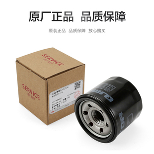 QJMOTOR钱江摩托车 逸550 QJ500-19机油滤清器空气滤清器机滤空滤