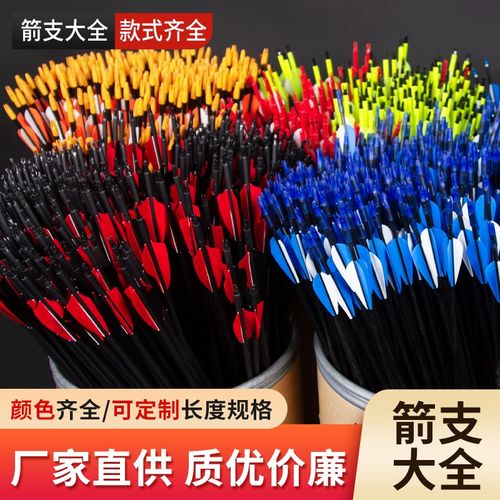 练习箭训练只玻纤箭混碳箭纯碳箭竞技弓箭箭支复合弓箭支反曲弓箭