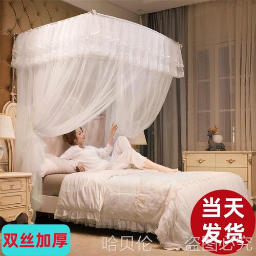 公主风蚊帐家用2022新款卧室uz型落地文纹账2023年新型伸缩导轨支