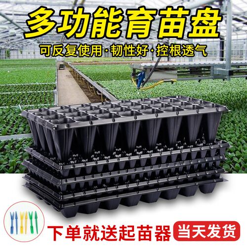 育苗盘穴盘育苗盆塑料杯种植神器营养钵蔬L菜花卉育种农用扦插托