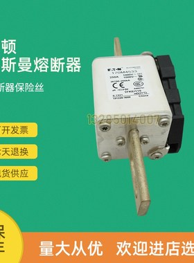 全新快速熔断器保险170M4519 170M453F1 170M4532 170M4533
