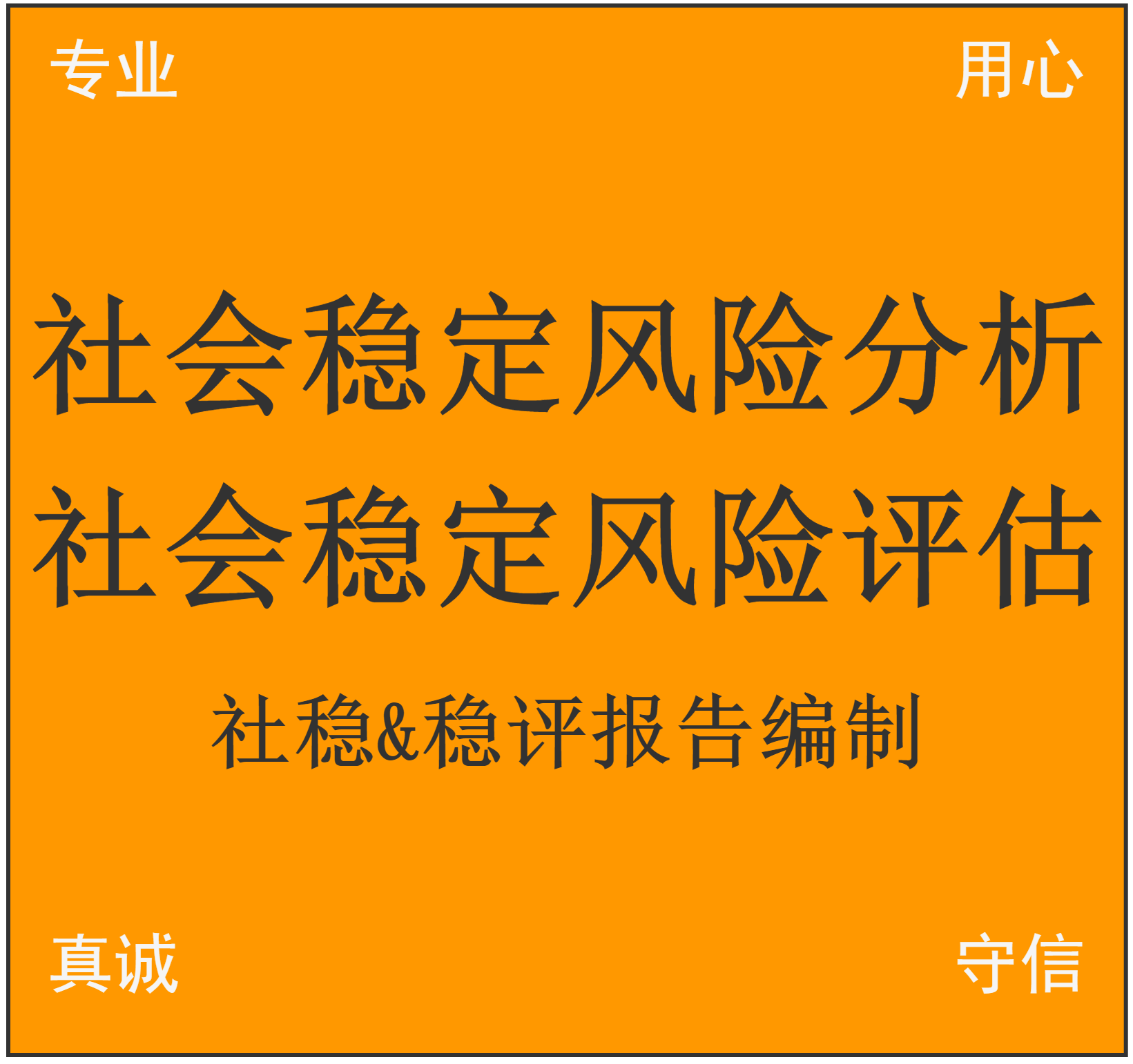 项目社会稳定分析报告 评估报告 社稳 稳评 可行性研究报告 立项