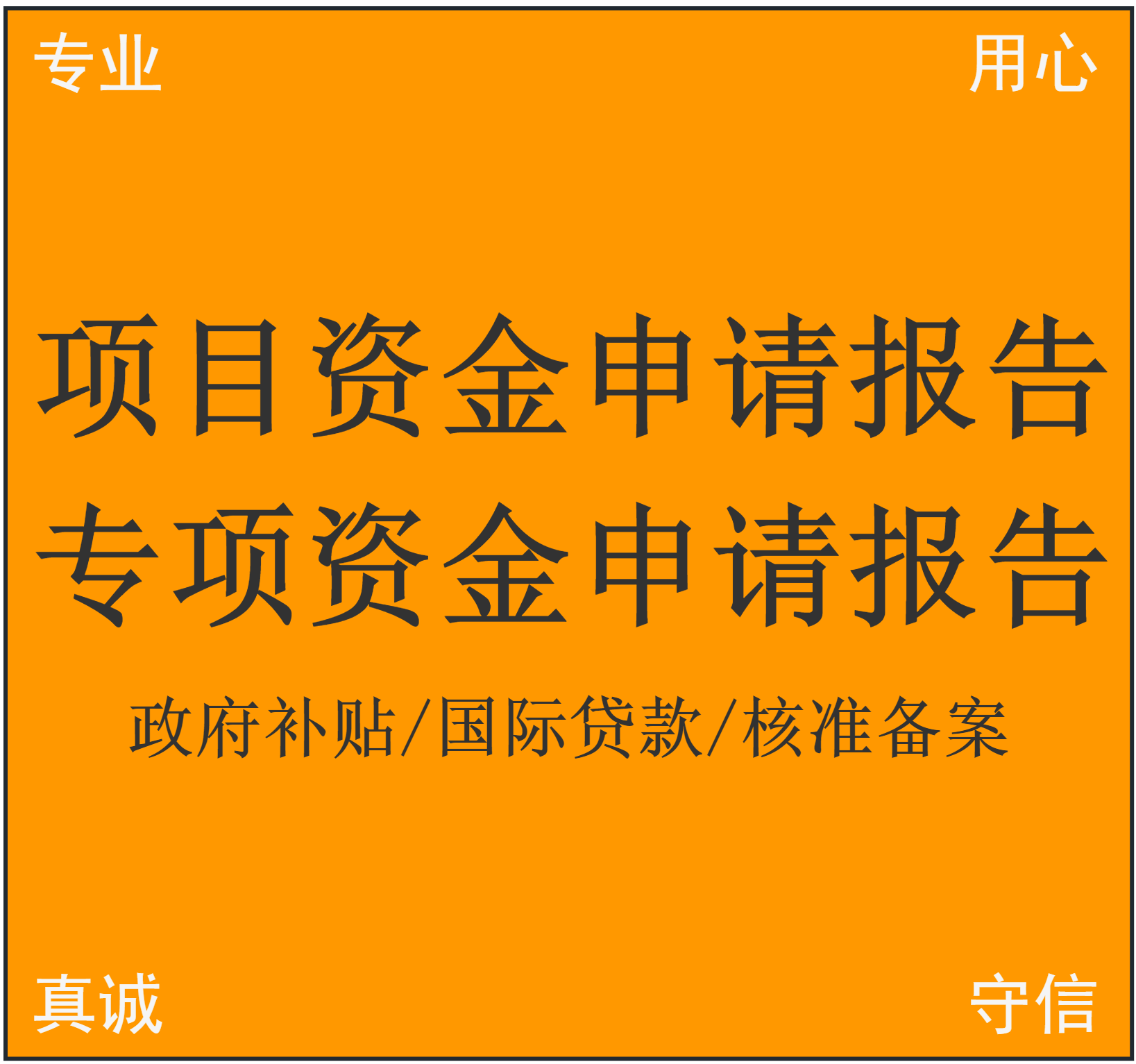 项目资金申请报告 专项资金申报 贴息补助 可行性研究报告编制 - 实物图