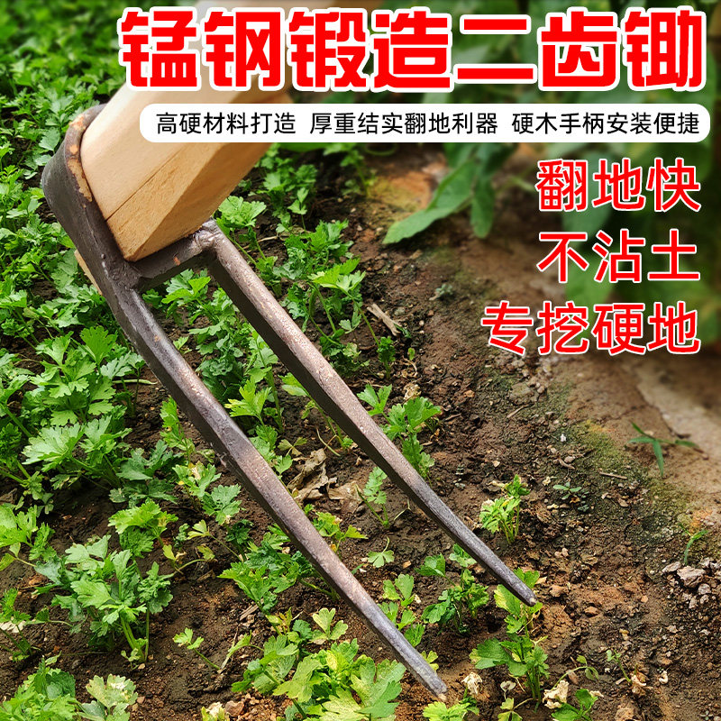 速发农用二齿锄头翻地松土神地开荒刨器家用种菜农钢挖笋锰用工具