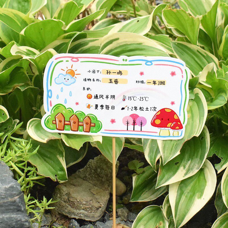 速发创意植物种植养护卡手写种花种菜标签卡学校活动儿童劳动作业