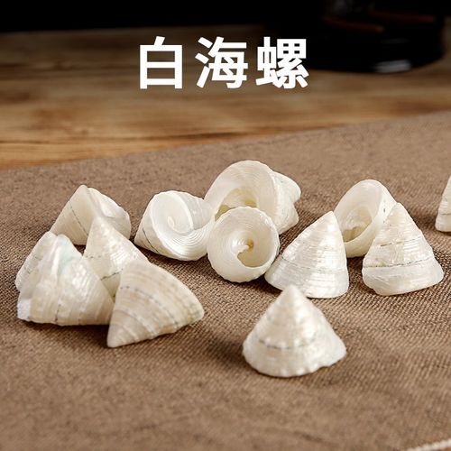 速发宝塔白尼螺家用八供套装供佛海泊尔左右旋白海螺供品螺供小号