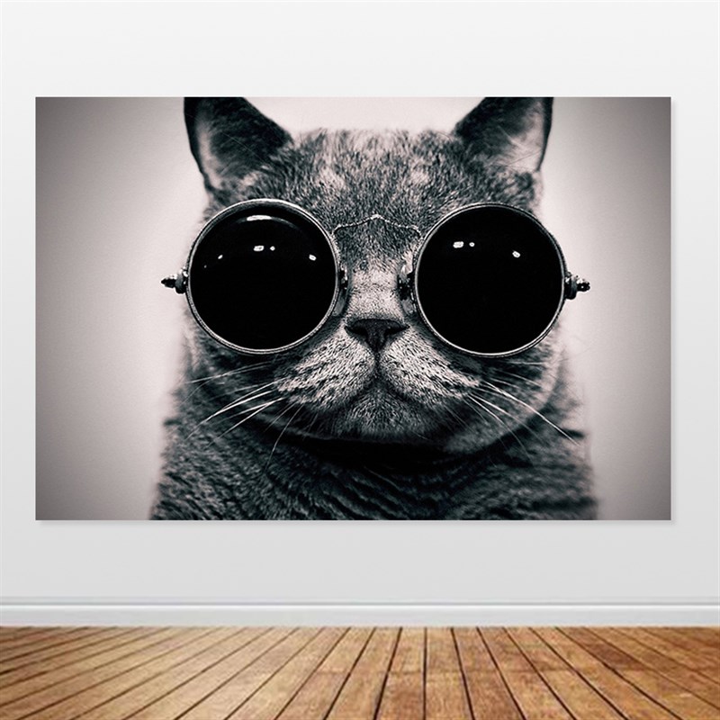 现货速发小猫挂画猫咪贴画儿童房间装饰画自粘可爱猫咪萌宠装饰画图片