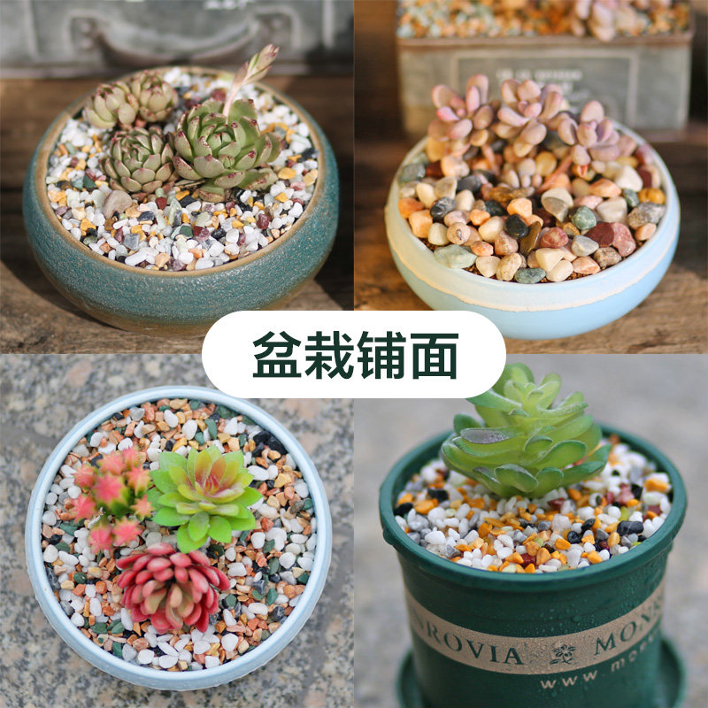速发彩石多肉花盆石铺面栽子颗粒五缸造景底砂种花装饰鱼彩小石头