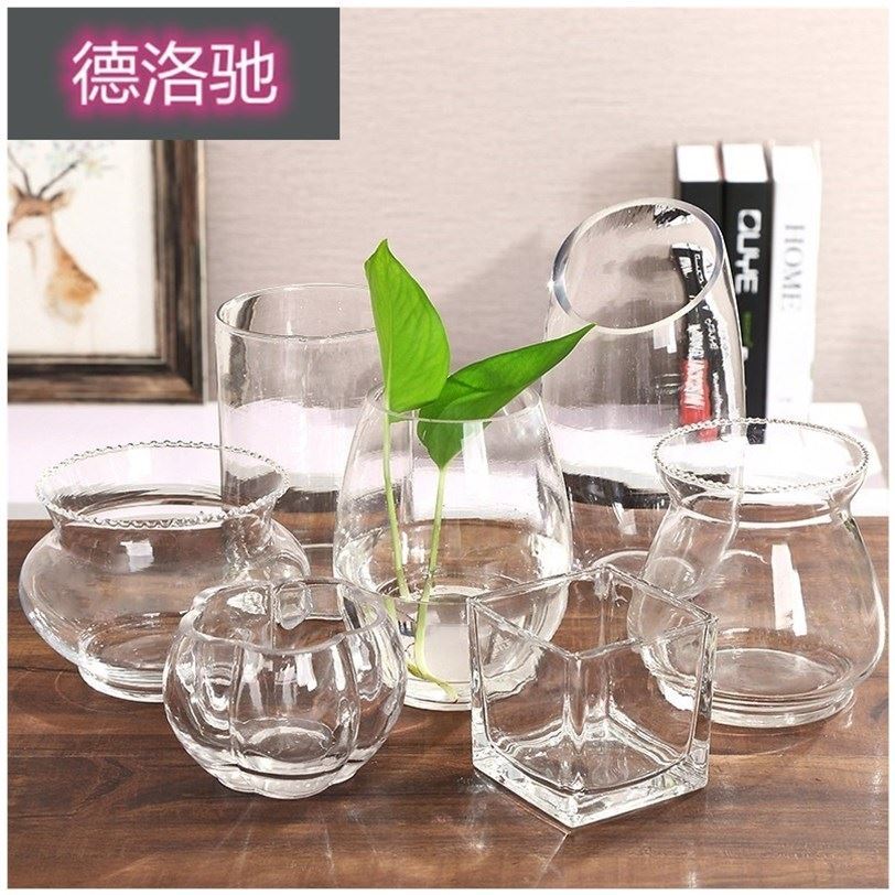 速发简约绿清新玻璃花瓶透明水培花盆水养小萝植物摆皿小号富贵竹