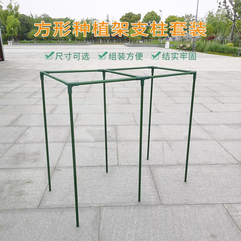 速发网形种植架爬藤植物丝瓜支柱套装黄瓜豆角含爬藤方农业支柱套