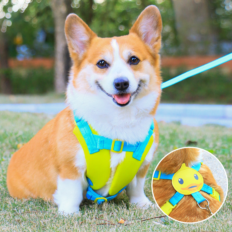 速发胸背带背心式小型犬基型犬狗绳柯中牵迪泰引遛狗绳