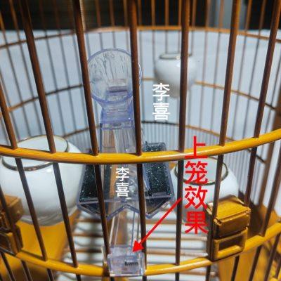 新款画眉鸟磨嘴杯磨砂杯磨嘴封钩磨嘴盒磨嘴器磨嘴专用杯修封