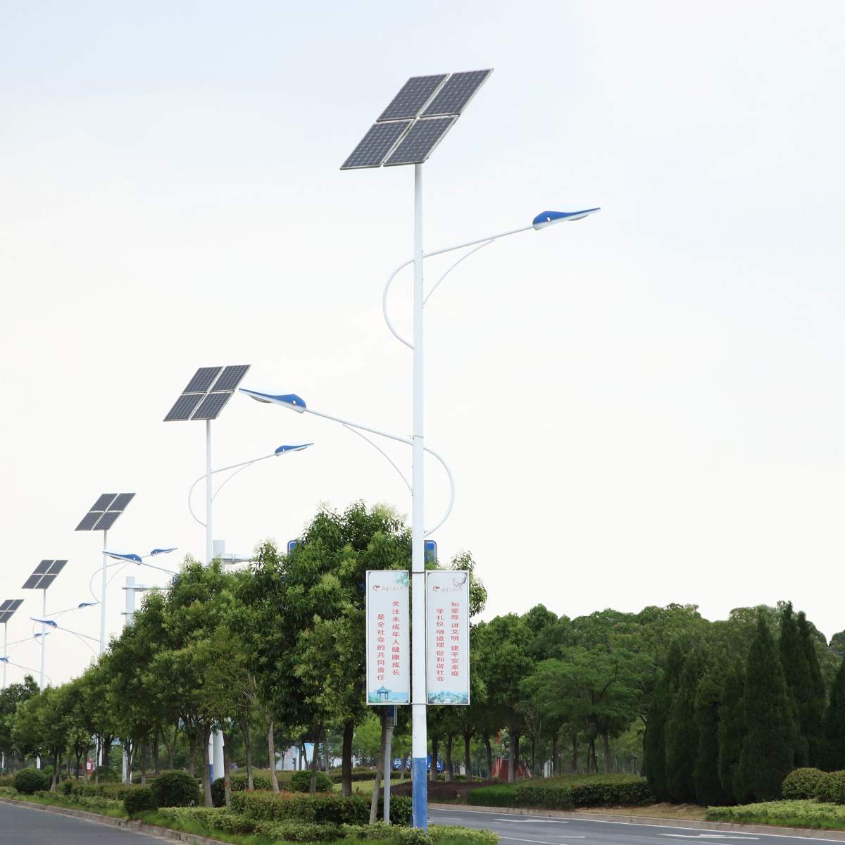 路灯市政灯太阳能市电超亮直销路灯全套新农村4米5米6米led户