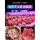 正阳全光谱led多肉补光灯家用上色快防徒长仿太阳光花卉植物生长
