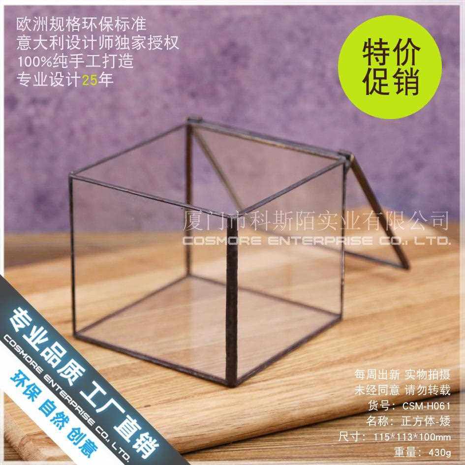 直销新款植物青苔微景盒子玻璃盆景苔藓微景观微缩森林生态瓶缸桌