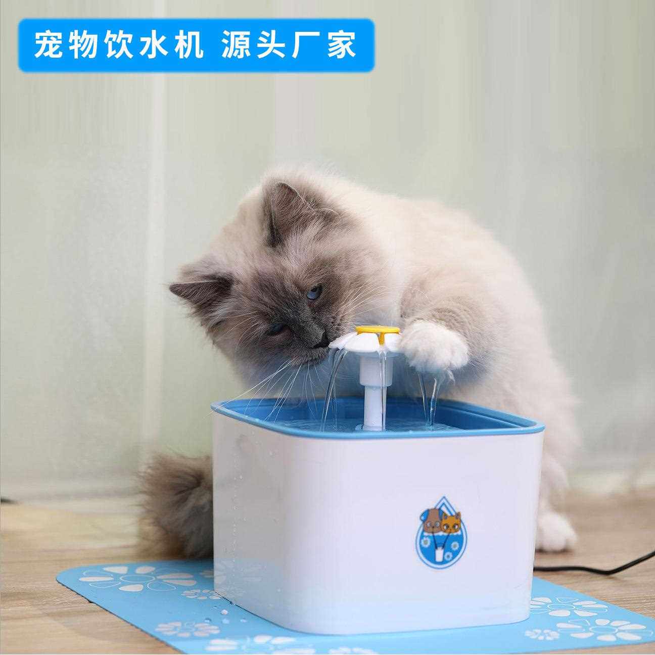 新款直销猫咪饮水机方形小花视窗流动喂水器自动循环宠物水盆猫狗