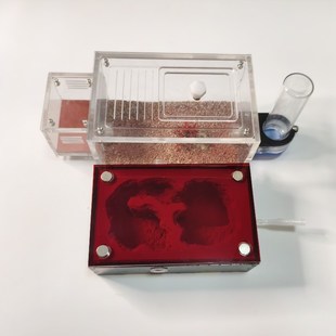 蚂蚁生态箱混凝土平面蚁巢学生宠物蚁后繁殖窝超大型工坊可拓展巢