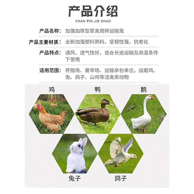 塑料鸡笼运输笼特大成鸡周转箱鸡鸭鹅兔笼鸽笼家用鸡筐加厚鸡笼子