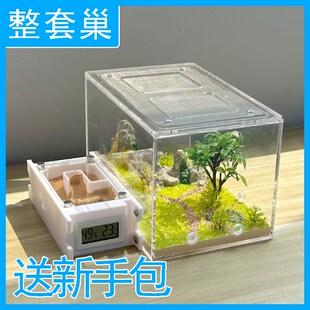 蚂蚁工坊宠物蚂蚁巢穴 蚂蚁家园观察屋 蚂蚁窝生态蚁巢活动区教学