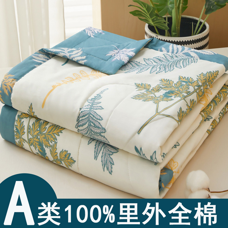 A类里外全e棉空调被纯棉夏凉被夏天薄被子被芯棉花夏被可水洗儿童