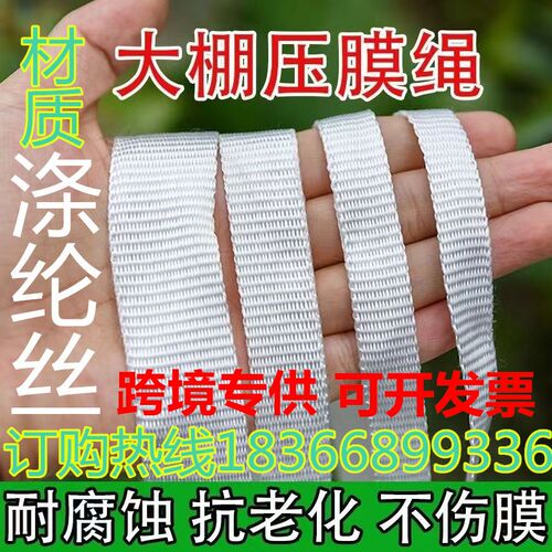 新品温室大棚专用白色压膜带w扁带加厚涤纶耐高温防老化耐用固定
