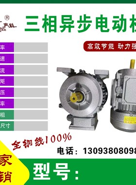 YS铝壳电机0.37/0.m55/0.75/1.1/1.5/三相异步电动机380V-B3(4极)