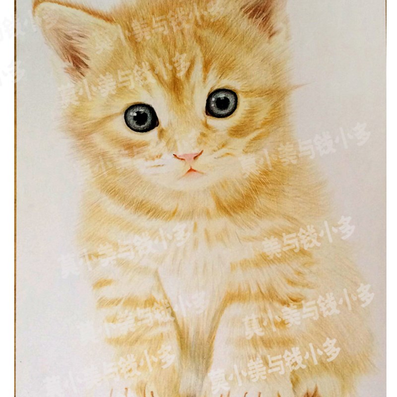 手绘素描定制彩色铅笔萌宠宠物画像动物画肖像彩铅装饰画挂画图片
