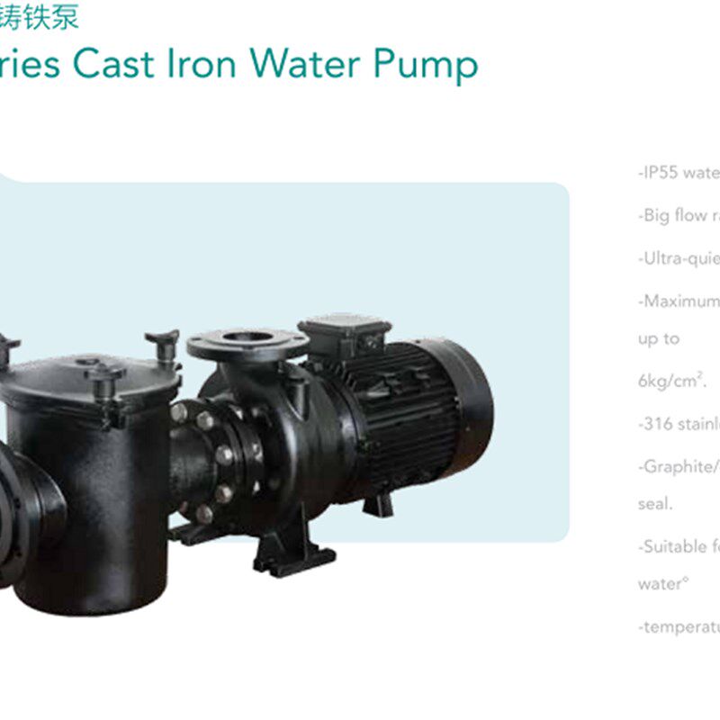 游泳池设备FU铸铁水泵循环离心式水D泵 静音水泵 高扬程大功率水