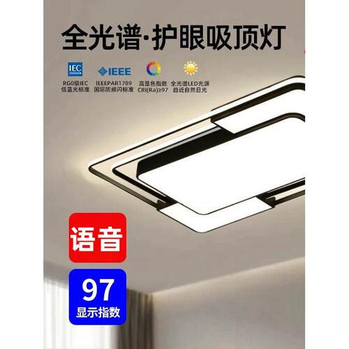 大气客厅主灯，餐厅卧室灯，现代简约Led斯堪的纳维亚吸顶灯，全