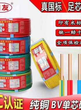 国标电线铜线BV2.5/1.5/6/10/16/4/35平方单芯硬线家装纯铜芯电缆