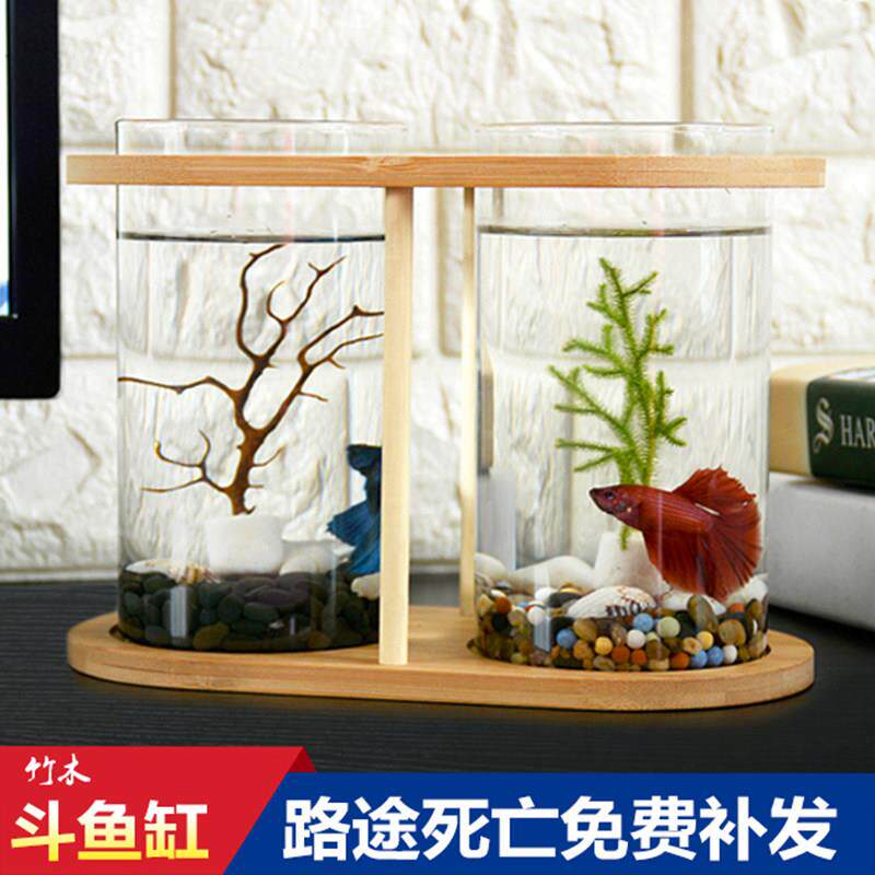 斗鱼缸桌面小型迷你鱼缸创意斗鱼鱼缸小型鱼缸玻璃泰国半月斗鱼缸