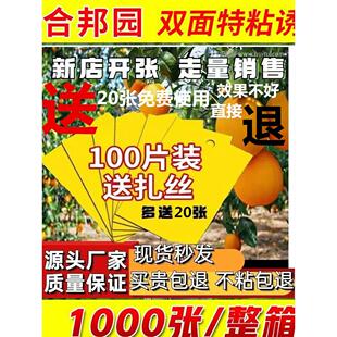 双面粘虫黄板诱虫板柑橘子树瓜果实蝇针蜂粘苍蝇贴粘虫板蓟马篮板