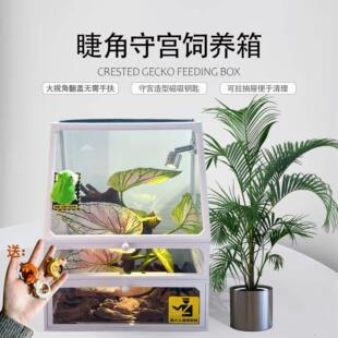 爬宠饲养箱前开 门树蛙爬虫蜥蜴守宫雨林生态造景睫角盖勾亚玻璃