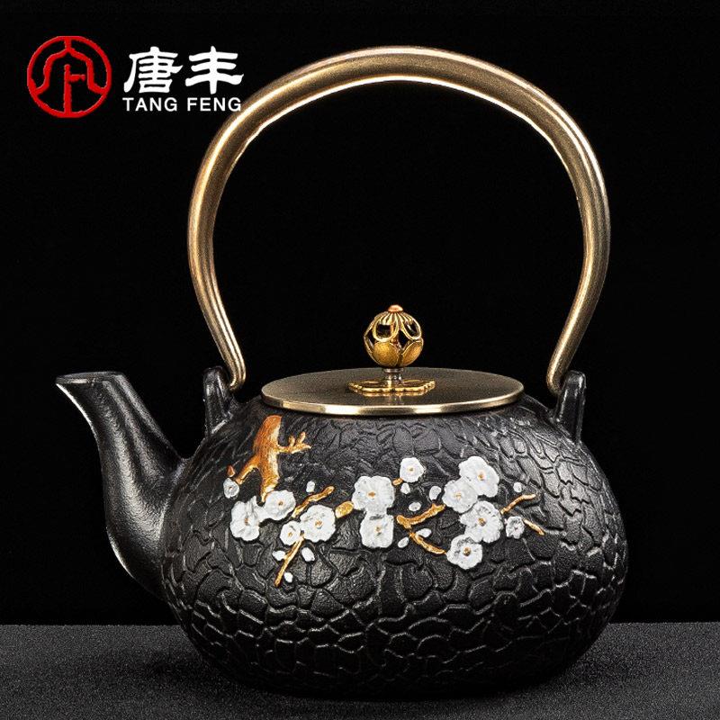铸铁煮水壶彩绘大容量铸铁壶简约电热煮茶器礼盒装提梁生铁壶z