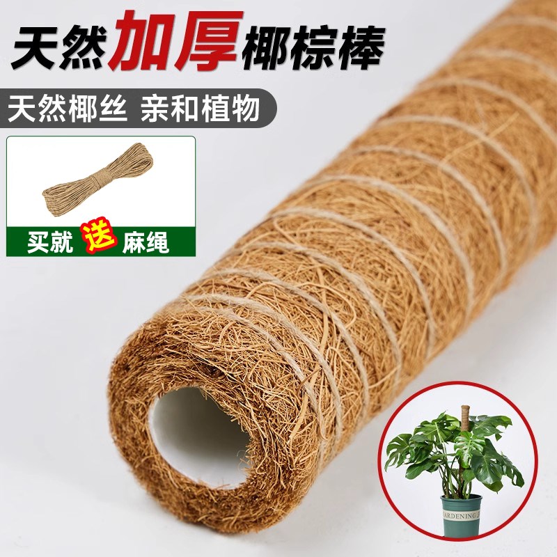 龟背竹支撑杆棕榈柱防倒伏支架花柱子植物支撑杆椰棕棒绿萝攀爬柱
