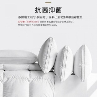 出口星级酒店枕头护颈椎助睡眠有支撑力宿舍家用成人全棉枕芯
