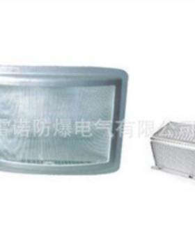 NSC9720防眩应急通路灯 应急灯具投光灯节能强光防水防炫目