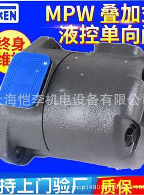 DENISON 丹尼逊 T6C-010-1R00-A1 1R01 1R02 1R03 1L 2R 2L B1