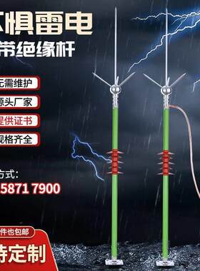 新款绝缘避雷针防雷工程室外接地针防雷用避雷器别墅接闪器